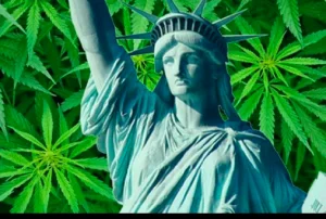 Screen Shot 2018-08-05 at 12.26.04 PM